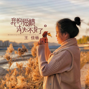 边境玩越南小女孩纪实
