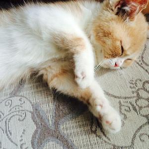 边境玩越南小女孩纪实
